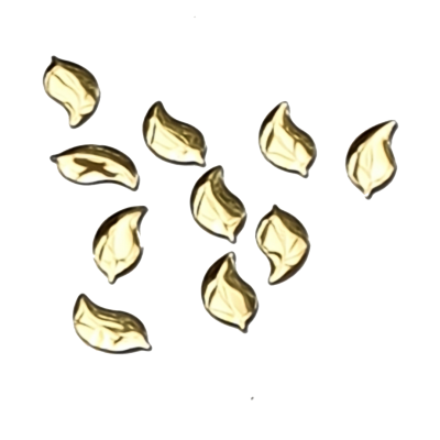 Rhinestones online Leaf - Bright Gold Leaf - Bright Gold
